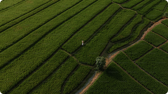 HỖ TRỢ KHỞI NGHIỆP