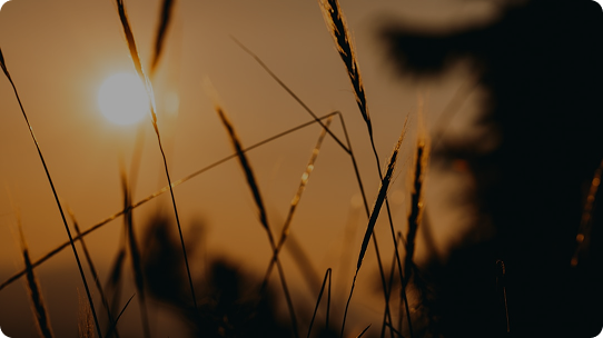 TRUYỀN CẢM HỨNG