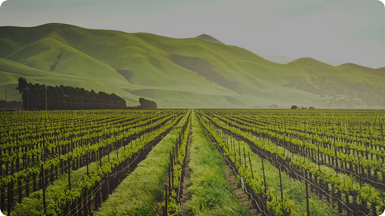 GIẢI PHÁP BỀN VỮNG