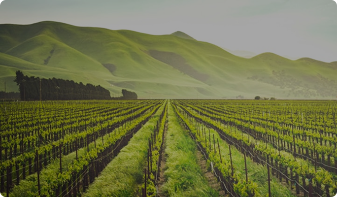 CHÍNH SÁCH CON NGƯỜI